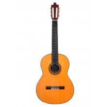 Guitarra Especial 10 F/C Palosanto