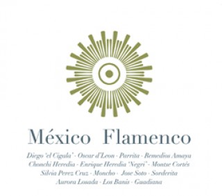 20234 México Flamenco
