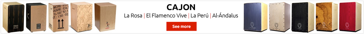 Cajon Flamenco, the best brands